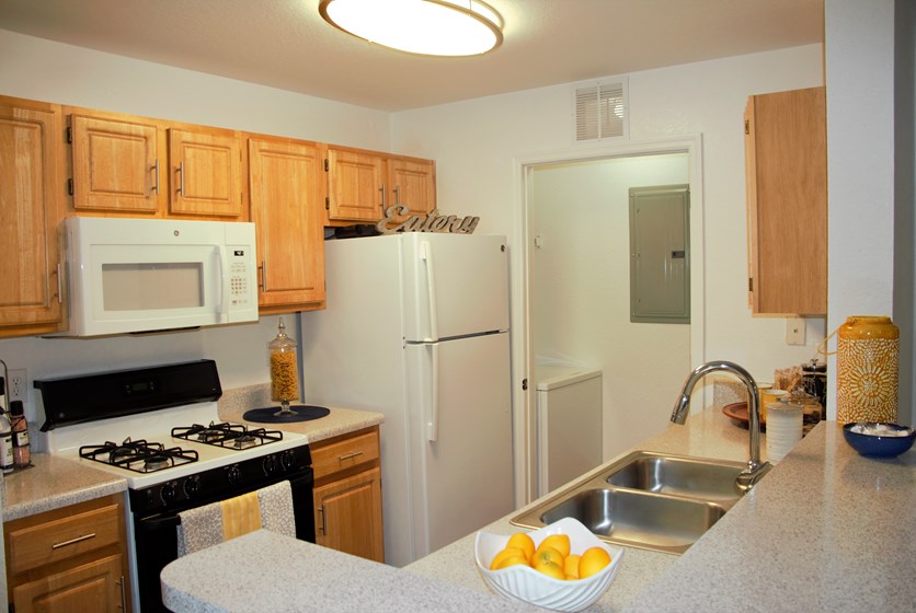 Brookside Apartments Gainesville, FL Swamp Rentals